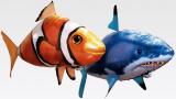 Flying fish, fish on the remote control, buy a flying fish Air Swimmers