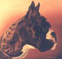 Paintings of animals in order 