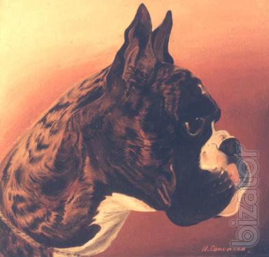 Paintings of animals in order 