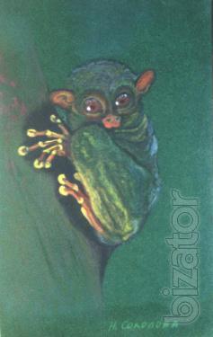 Paintings of animals in order 