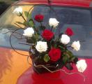 Provoking the beauty and durability of roses FLORICH 