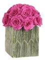 Provoking the beauty and durability of roses FLORICH 