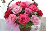 Provoking the beauty and durability of roses FLORICH 