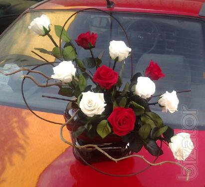 Provoking the beauty and durability of roses FLORICH 