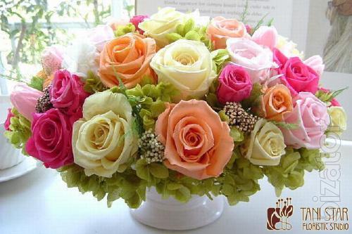 Provoking the beauty and durability of roses FLORICH 