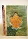 Photo albums and photo frames made of natural leaves 