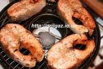 Fryer Gas Grill. Enameled. 