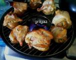 Fryer Gas Grill. Enameled. 