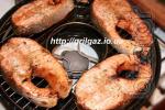 Fryer Gas Grill. Enameled. 