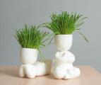 Ecologici - ceramic souvenir, unique, creative gift