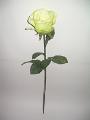 Artificial flowers and floral, packaging and accessories 