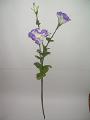 Artificial flowers - Lisianthus.