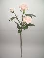Flowers - roses. Artificial 