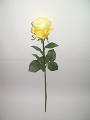 Flowers - roses. Artificial 