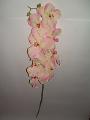 The orchids. Artificial flowers