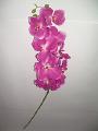 The orchids. Artificial flowers 