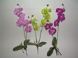 The orchids. Artificial flowers 