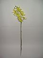 The orchids. Artificial flowers 