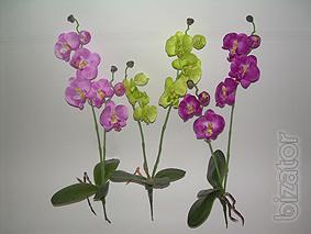 The orchids. Artificial flowers 