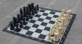 Chess made of plastic? 