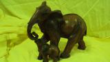 Elephants in the range 
