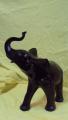 Elephants in the range 