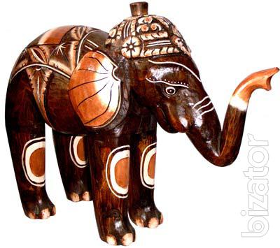 Elephants in the range 