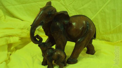 Elephants in the range 