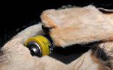 Yorkshire Terrier - breathable toy 