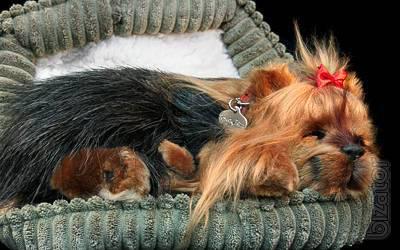 Yorkshire Terrier - breathable toy 