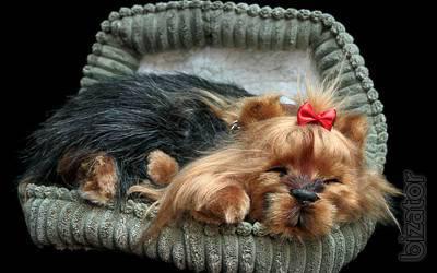 Yorkshire Terrier - breathable toy 