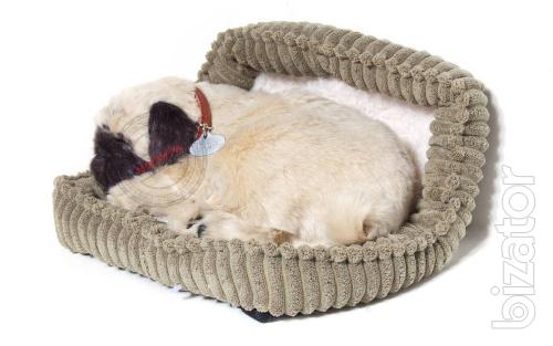 Pug interactive breathable 