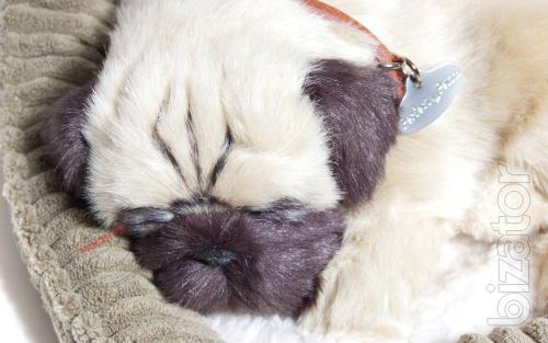 Pug interactive breathable 