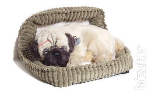 Pug interactive breathable 