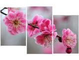 Let the spring in the interior right now