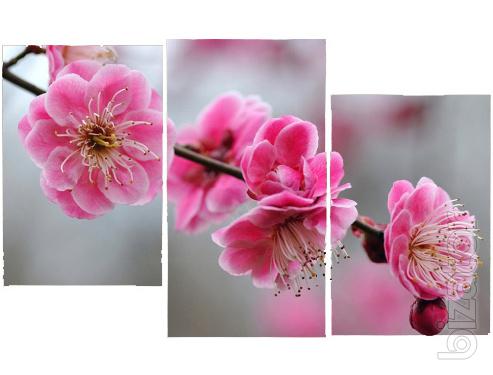 Let the spring in the interior right now 