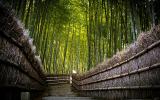 Wall murals - the highlight of Your interior 