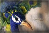 textile birds,birds of fabric,Ms. E. pavli