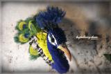 textile birds,birds of fabric,Ms. E. pavli