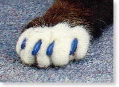 Scratch mitts for cats and dogs - soft claws 