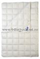 Blanket Harvard Billerbeck