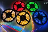 Led strip, power supply units, spotlights and accessories. Price is not the limit