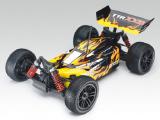 RC model buggy Sparrowhawk Xxb. Directly from manufacturers. 