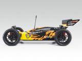 RC model buggy Sparrowhawk Xxb. Directly from manufacturers. 
