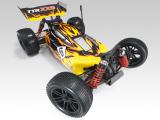 RC model buggy Sparrowhawk Xxb. Directly from manufacturers. 