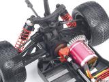 RC model buggy Sparrowhawk Xxb. Directly from manufacturers. 