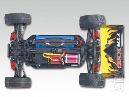 RC model buggy Sparrowhawk Xxb. Directly from manufacturers. 