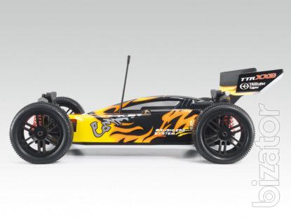 RC model buggy Sparrowhawk Xxb. Directly from manufacturers. 