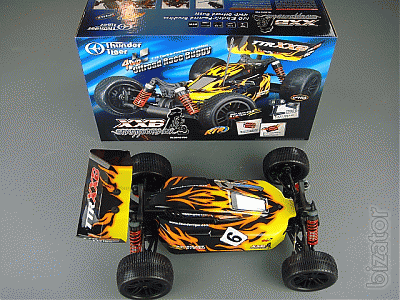 RC model buggy Sparrowhawk Xxb. Directly from manufacturers. 