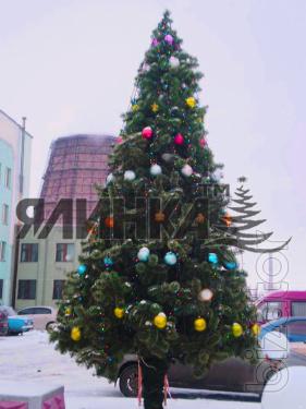 Christmas tree 